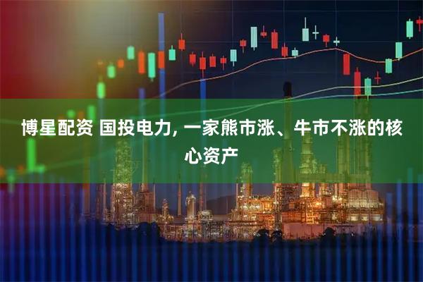 博星配资 国投电力, 一家熊市涨、牛市不涨的核心资产