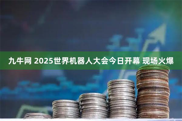 九牛网 2025世界机器人大会今日开幕 现场火爆